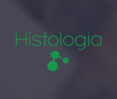 Portal da Histologia